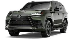 2025 LX