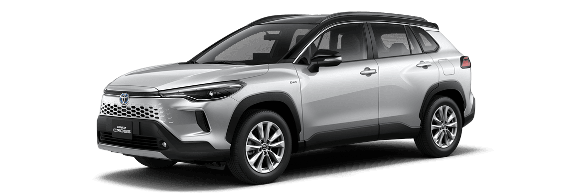 silver with black roof