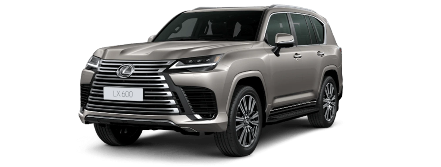 2025 LX